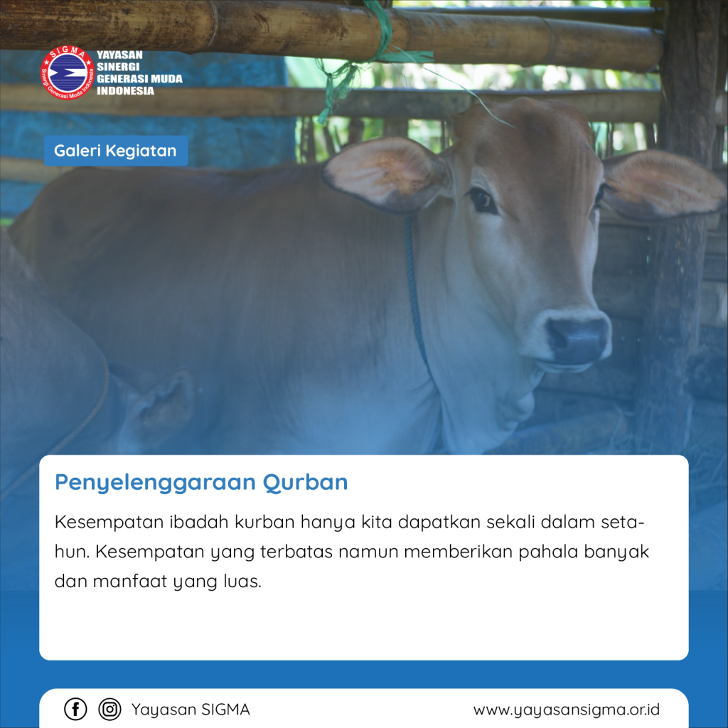 Penyelenggaraan Qurban