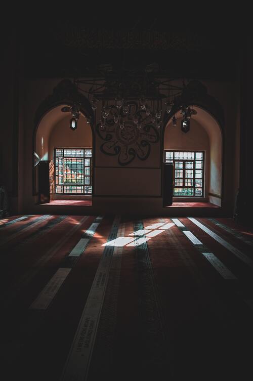 pexels-ahmed-mulla-4630983-1-1