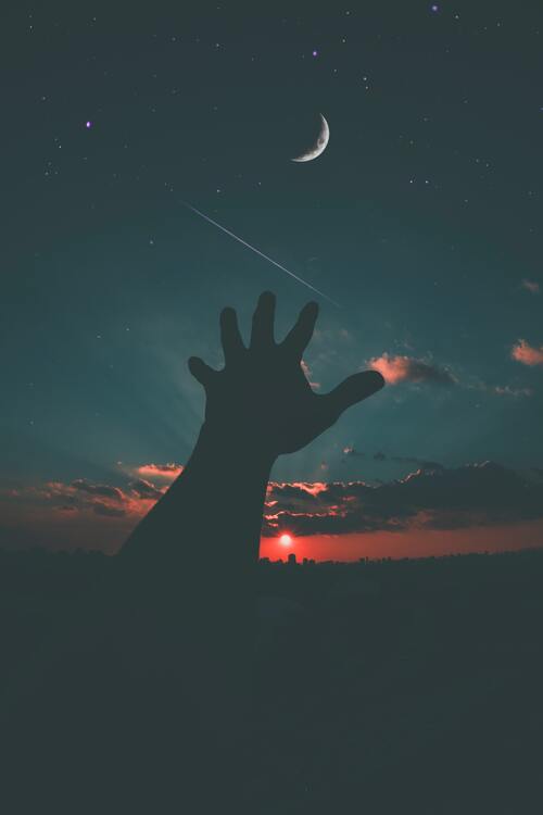 pexels-kaique-rocha-447329-1