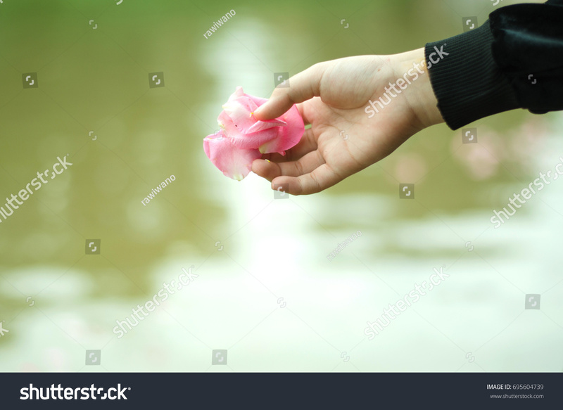 stock-photo-hand-holding-roses-flowers-scattering-into-water-for-water-burial-traditional-asian-funeral-of-695604739-1-1