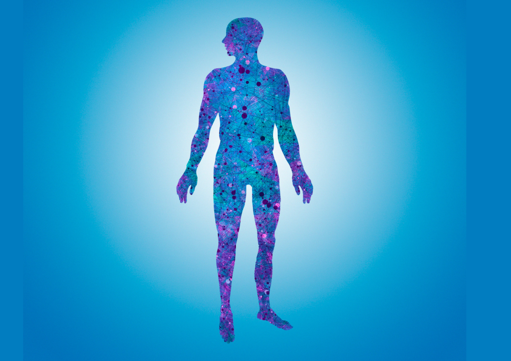 GAMBAR WIBE SITE (1)