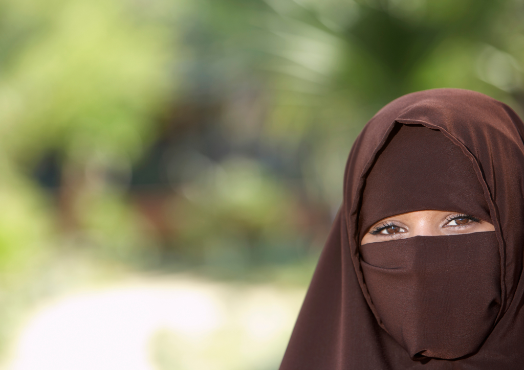 GAMBAR WIBE SITE (3)