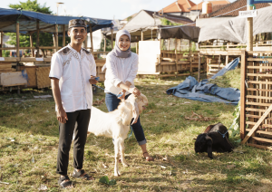 Qurban