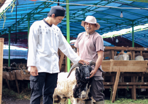 Sedekah
