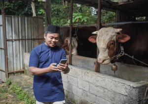 Qurban